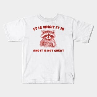 It Is what it is and it is not great, Cartoon Meme Top, Vintage Cartoon Sweater, Unisex Kids T-Shirt